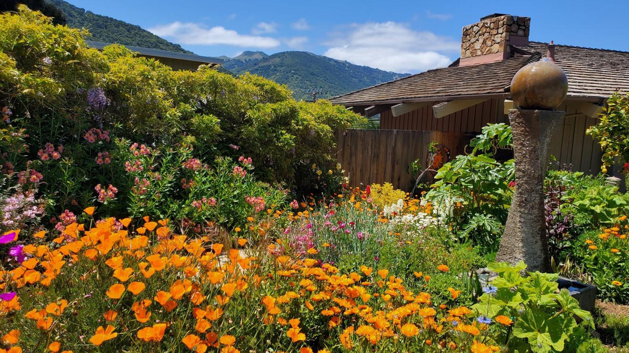 Carmel Valley Lodge Ngoại thất bức ảnh